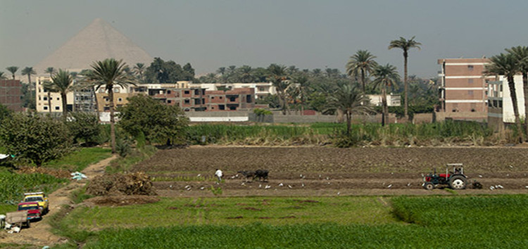 Egypt, tractor ploughing field